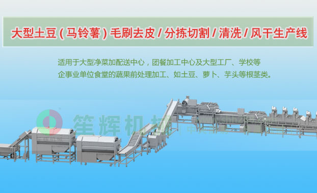 漳浦连续式土豆去皮清洗切割风干生产线